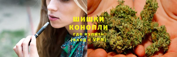 молекула духа Надым