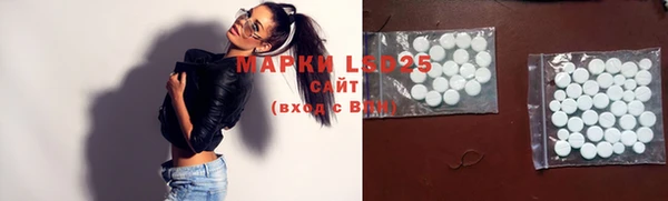 молекула духа Надым