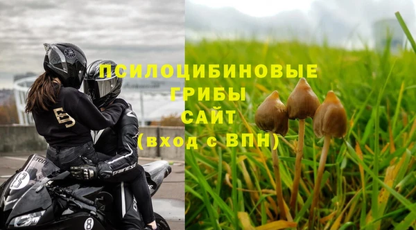 стаф Наволоки