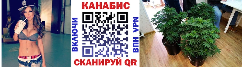 МАРИХУАНА сатива  купить наркотики цена  Мглин 